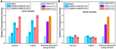 In situ detection of alkaline phosphatase in a cisplatin-induced acute kidney injury model with a fluorescent/photoacoustic bimodal molecular probe